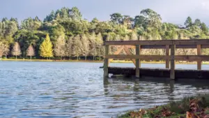 Guide pratique pour marques au Niger: comment repérer et contacter créateurs mongols sur Bilibili pour envoyer PR packages et lancer campagnes UGC.