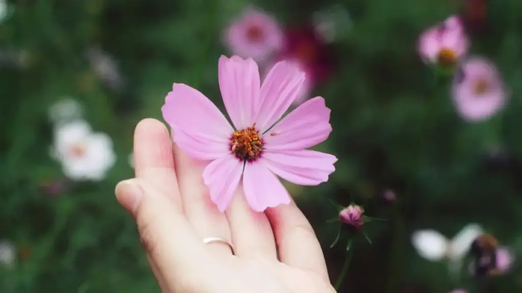 Guide pratique pour annonceurs au Niger: comment identifier, évaluer et collaborer avec des créateurs YouTube du Qatar pour booster les ventes d'une boutique en ligne.