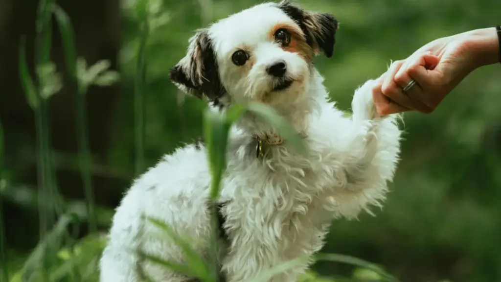 Astuce pratique pour contacter des marques d’Islande sur LinkedIn et présenter tes bénéfices produit clairement, sans blabla ni message froid.
