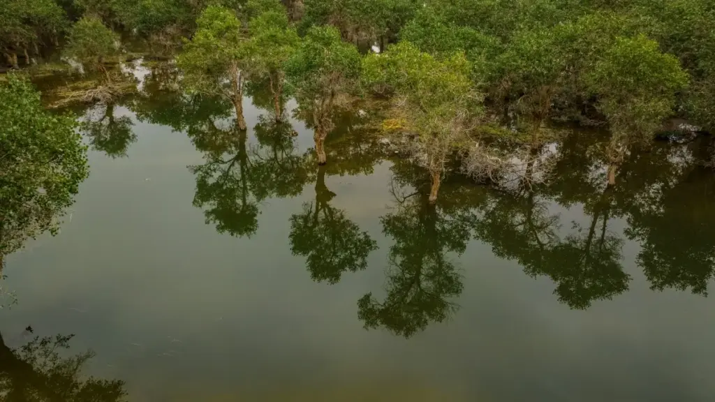 Méthode simple pour contacter des marques thaïlandaises sur TikTok, pitcher des GRWM qui vendent, et éviter les erreurs qui font tomber le taux de réponse.