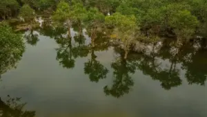 Méthode simple pour contacter des marques thaïlandaises sur TikTok, pitcher des GRWM qui vendent, et éviter les erreurs qui font tomber le taux de réponse.